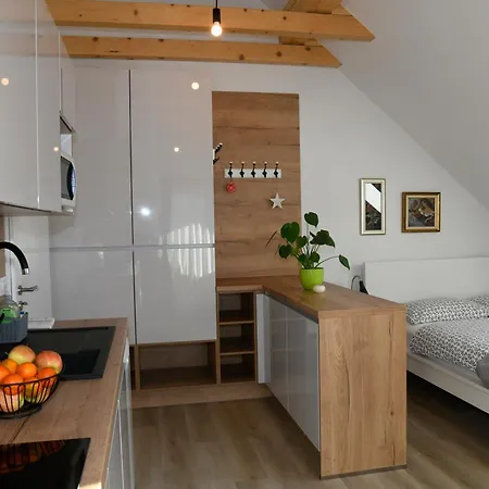 Apartments Ajda Bohinj Exterior photo